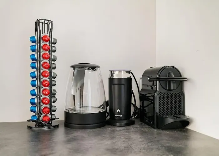 Chique Ibiza * Zaandam